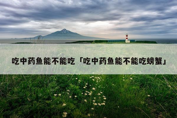 吃中药鱼能不能吃「吃中药鱼能不能吃螃蟹」
