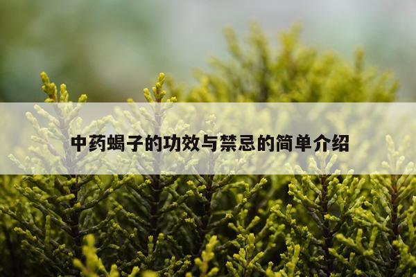 中药蝎子的功效与禁忌的简单介绍