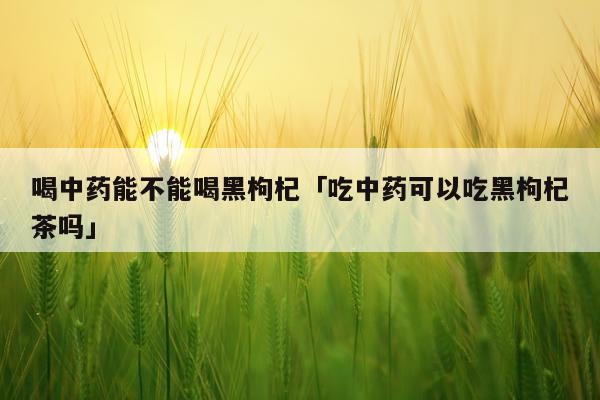 喝中药能不能喝黑枸杞「吃中药可以吃黑枸杞茶吗」