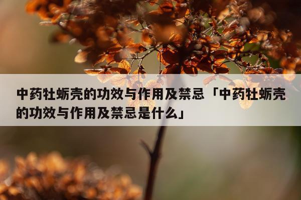 中药牡蛎壳的功效与作用及禁忌「中药牡蛎壳的功效与作用及禁忌是什么」