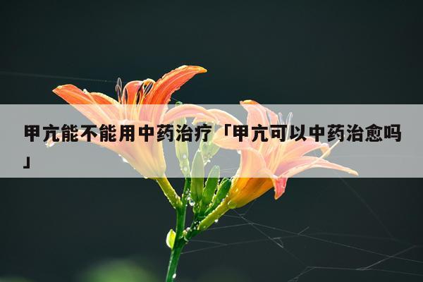 甲亢能不能用中药治疗「甲亢可以中药治愈吗」