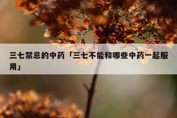 三七禁忌的中药「三七不能和哪些中药一起服用」
