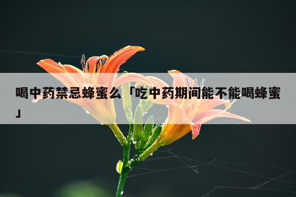 喝中药禁忌蜂蜜么「吃中药期间能不能喝蜂蜜」