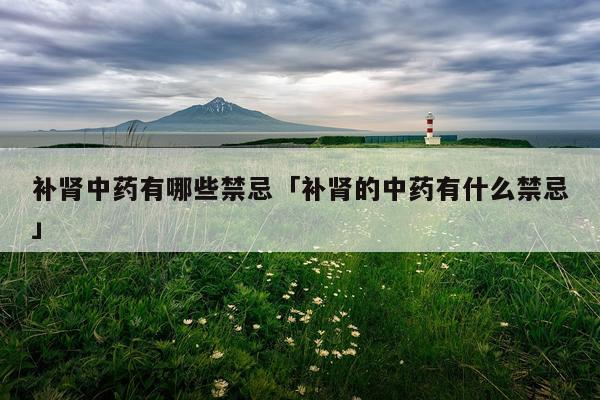 补肾中药有哪些禁忌「补肾的中药有什么禁忌」