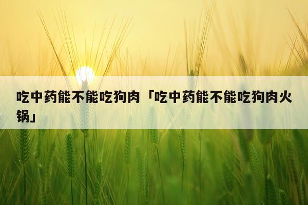 吃中药能不能吃狗肉「吃中药能不能吃狗肉火锅」