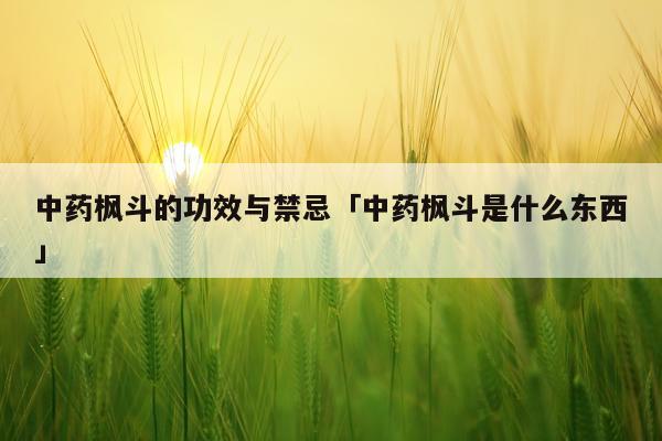 中药枫斗的功效与禁忌「中药枫斗是什么东西」