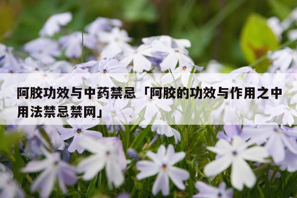 阿胶功效与中药禁忌「阿胶的功效与作用之中用法禁忌禁网」