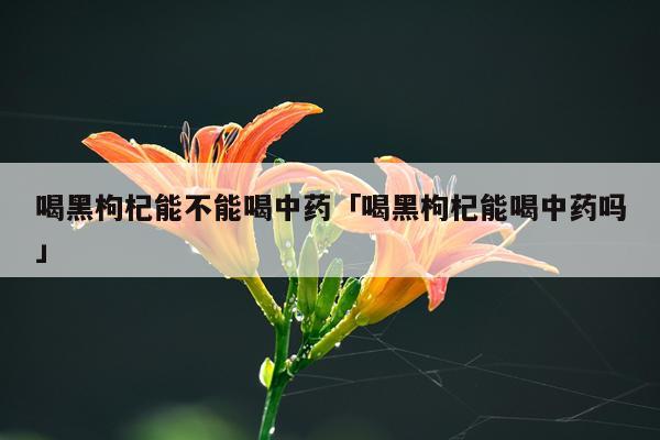 喝黑枸杞能不能喝中药「喝黑枸杞能喝中药吗」