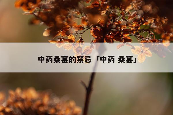 中药桑葚的禁忌「中药 桑葚」