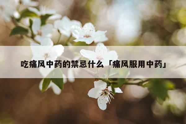吃痛风中药的禁忌什么「痛风服用中药」