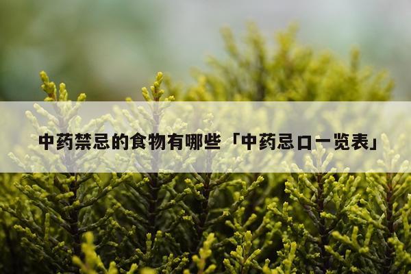 中药禁忌的食物有哪些「中药忌口一览表」