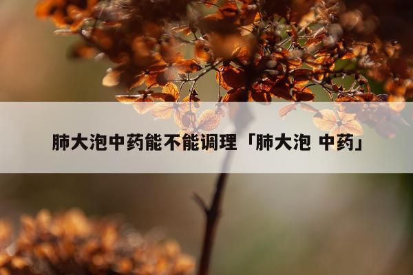 肺大泡中药能不能调理「肺大泡 中药」