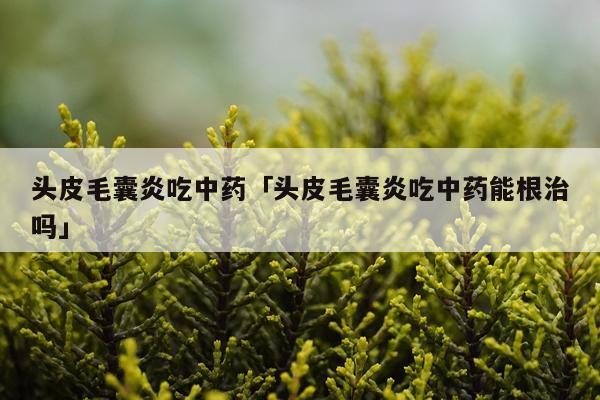 头皮毛囊炎吃中药「头皮毛囊炎吃中药能根治吗」