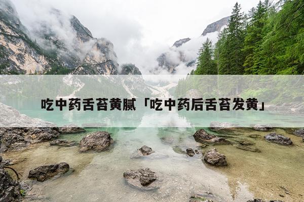 吃中药舌苔黄腻「吃中药后舌苔发黄」