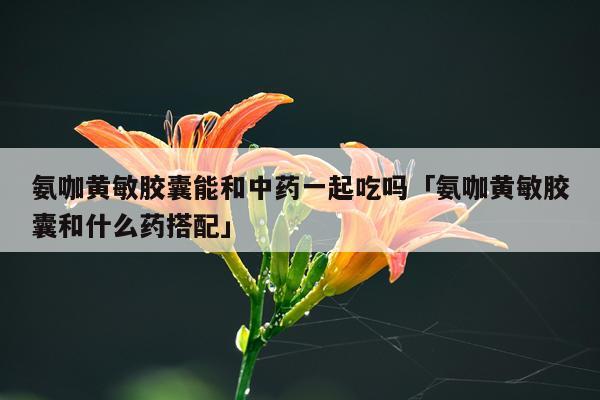 氨咖黄敏胶囊能和中药一起吃吗「氨咖黄敏胶囊和什么药搭配」