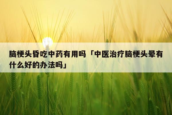 脑梗头昏吃中药有用吗「中医治疗脑梗头晕有什么好的办法吗」