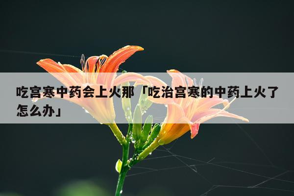吃宫寒中药会上火那「吃治宫寒的中药上火了怎么办」