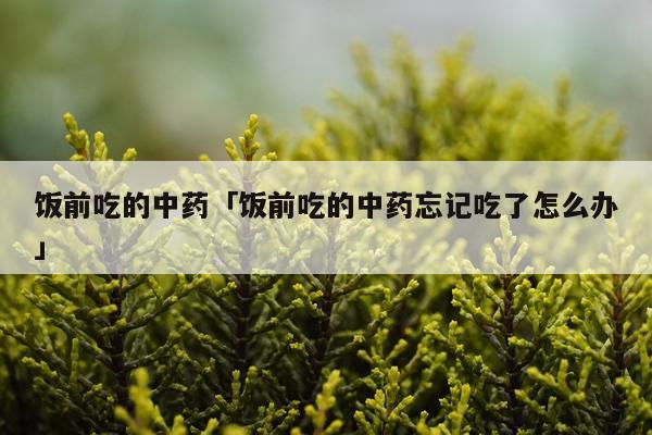 饭前吃的中药「饭前吃的中药忘记吃了怎么办」