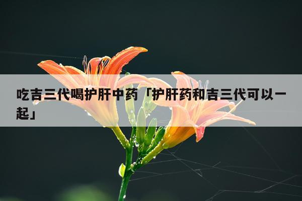 吃吉三代喝护肝中药「护肝药和吉三代可以一起」