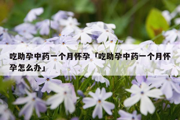 吃助孕中药一个月怀孕「吃助孕中药一个月怀孕怎么办」
