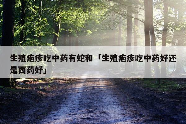 生殖疱疹吃中药有蛇和「生殖疱疹吃中药好还是西药好」