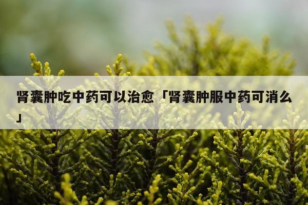 肾囊肿吃中药可以治愈「肾囊肿服中药可消么」