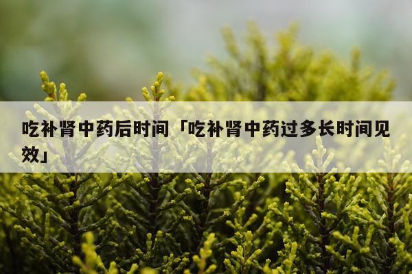 吃补肾中药后时间「吃补肾中药过多长时间见效」