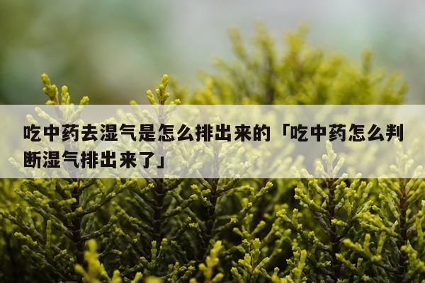 吃中药去湿气是怎么排出来的「吃中药怎么判断湿气排出来了」