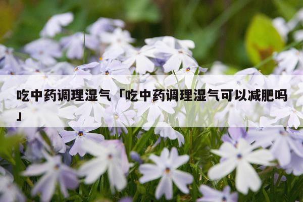吃中药调理湿气「吃中药调理湿气可以减肥吗」