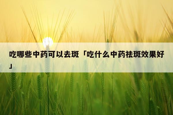 吃哪些中药可以去斑「吃什么中药祛斑效果好」