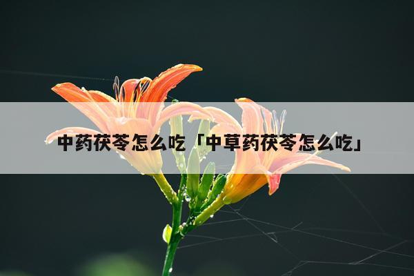 中药茯苓怎么吃「中草药茯苓怎么吃」