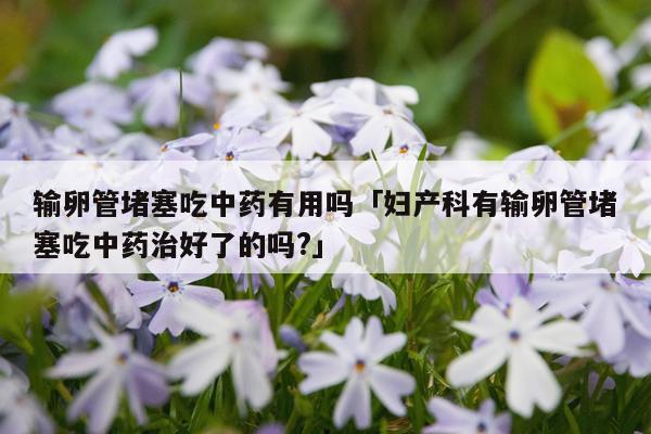 输卵管堵塞吃中药有用吗「妇产科有输卵管堵塞吃中药治好了的吗?」