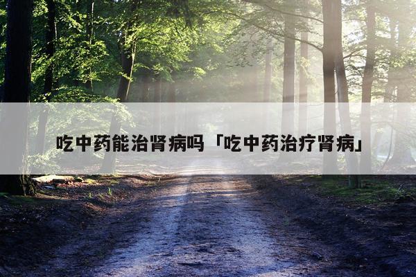 吃中药能治肾病吗「吃中药治疗肾病」