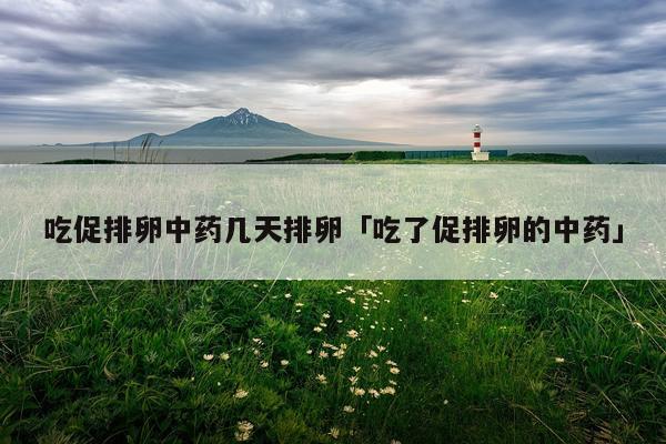 吃促排卵中药几天排卵「吃了促排卵的中药」