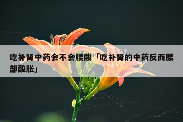 吃补肾中药会不会腰酸「吃补肾的中药反而腰部酸胀」
