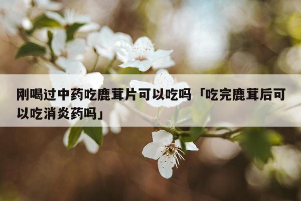 刚喝过中药吃鹿茸片可以吃吗「吃完鹿茸后可以吃消炎药吗」