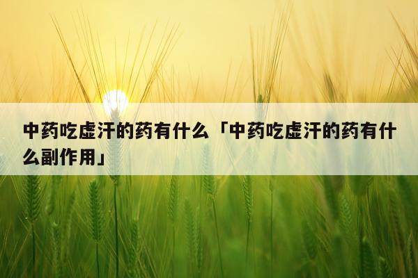 中药吃虚汗的药有什么「中药吃虚汗的药有什么副作用」