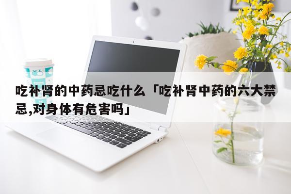 吃补肾的中药忌吃什么「吃补肾中药的六大禁忌,对身体有危害吗」