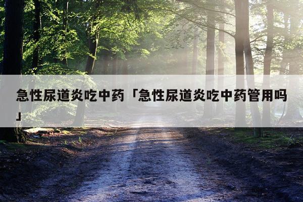 急性尿道炎吃中药「急性尿道炎吃中药管用吗」