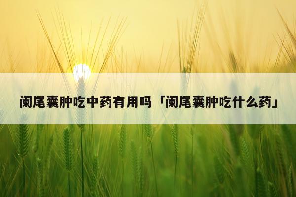 阑尾囊肿吃中药有用吗「阑尾囊肿吃什么药」