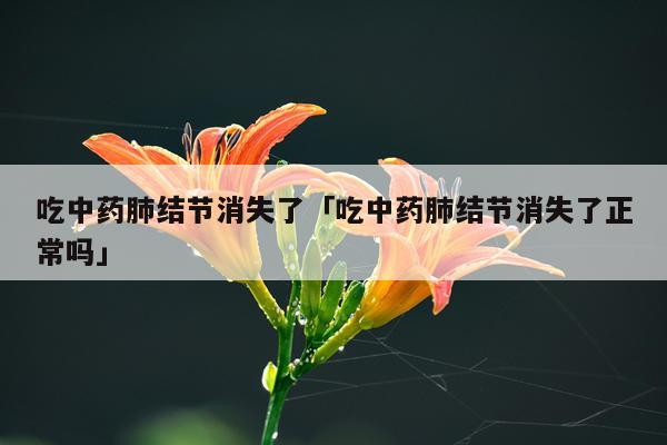 吃中药肺结节消失了「吃中药肺结节消失了正常吗」