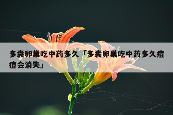 多囊卵巢吃中药多久「多囊卵巢吃中药多久痘痘会消失」