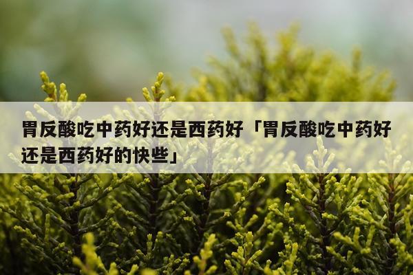 胃反酸吃中药好还是西药好「胃反酸吃中药好还是西药好的快些」