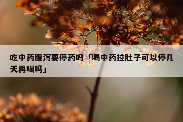 吃中药腹泻要停药吗「喝中药拉肚子可以停几天再喝吗」
