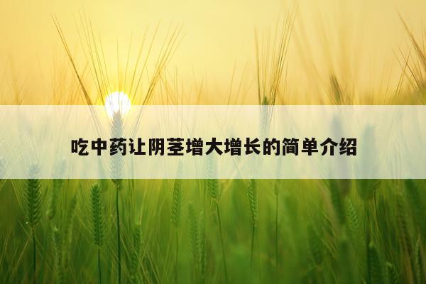 吃中药让阴茎增大增长的简单介绍