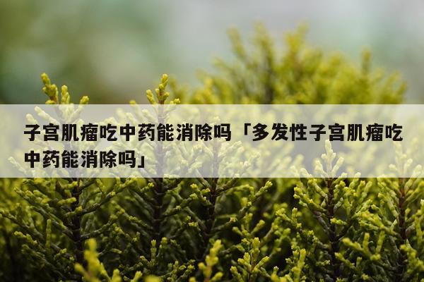 子宫肌瘤吃中药能消除吗「多发性子宫肌瘤吃中药能消除吗」