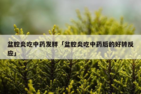 盆腔炎吃中药发胖「盆腔炎吃中药后的好转反应」