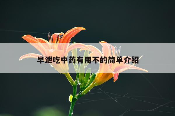 早泄吃中药有用不的简单介绍
