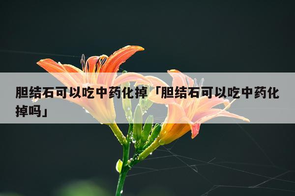 胆结石可以吃中药化掉「胆结石可以吃中药化掉吗」
