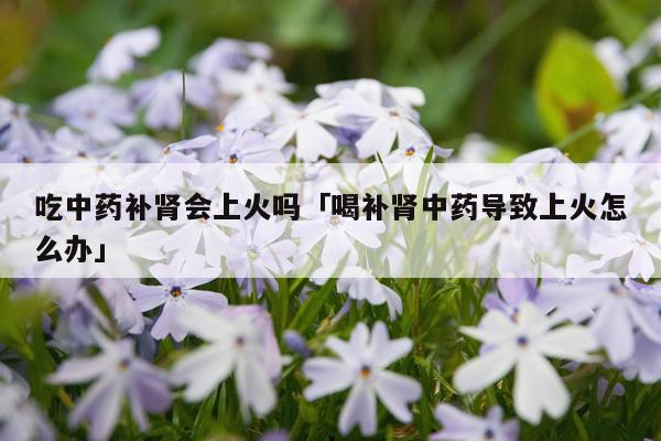 吃中药补肾会上火吗「喝补肾中药导致上火怎么办」